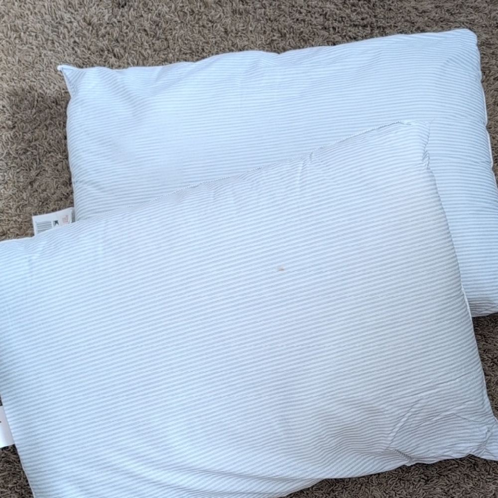 Striped Blue Pillow Set